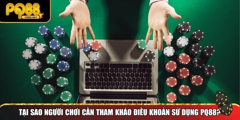 Tham khảo điều khoản sử dụng PQ88