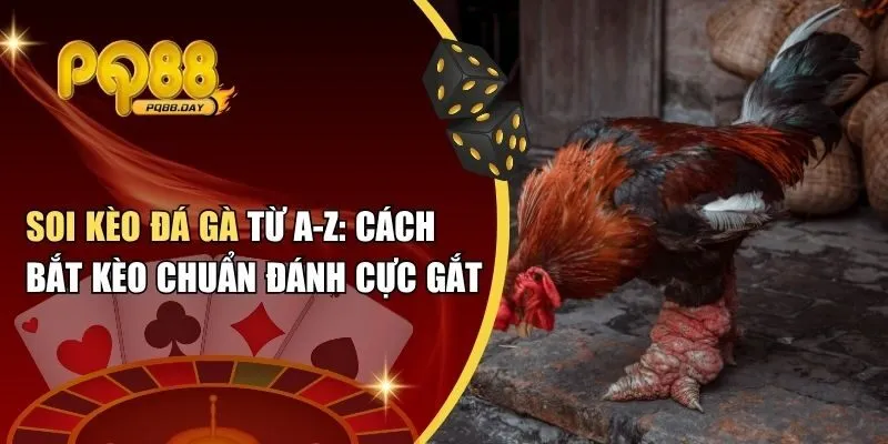 Soi kèo đá gà